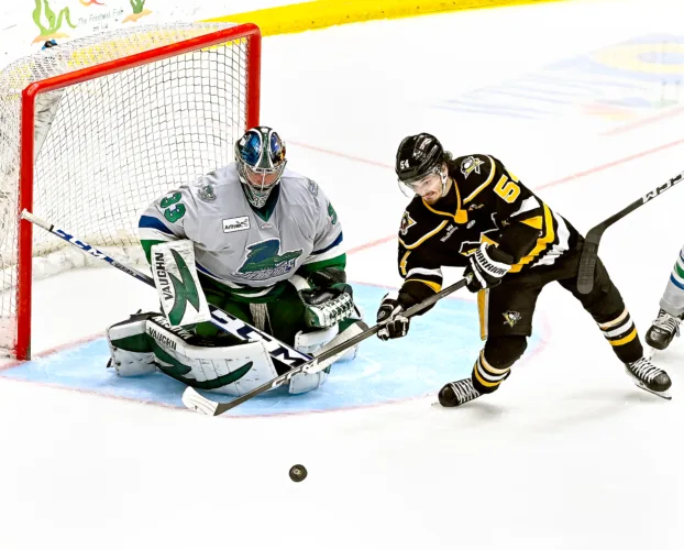 Nailers in jeopardy of losing longtime affiliation with the Penguins
